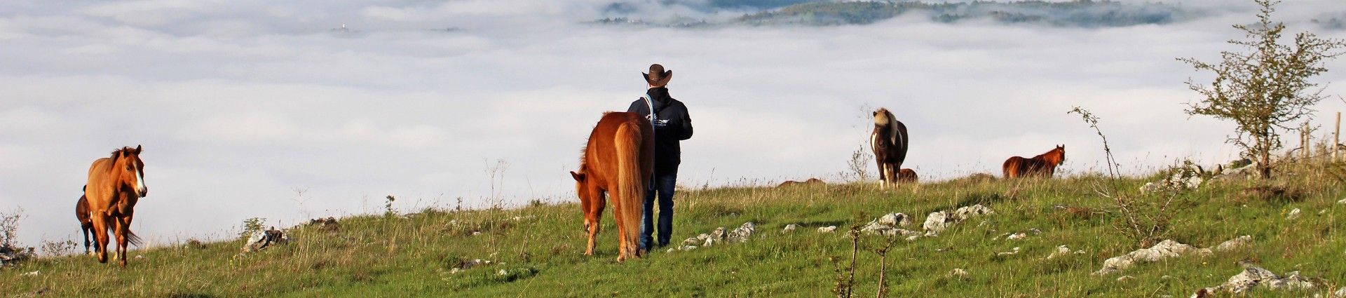 Voyages et randonnée à cheval en Slovénie