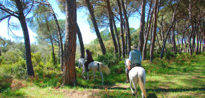 Randonnée équestre au cœur de la Réserve de Doñana en Andalousie - Caval&go