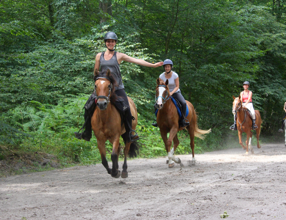 Weekend de charme et randonnées sportives en forêt de Chantilly