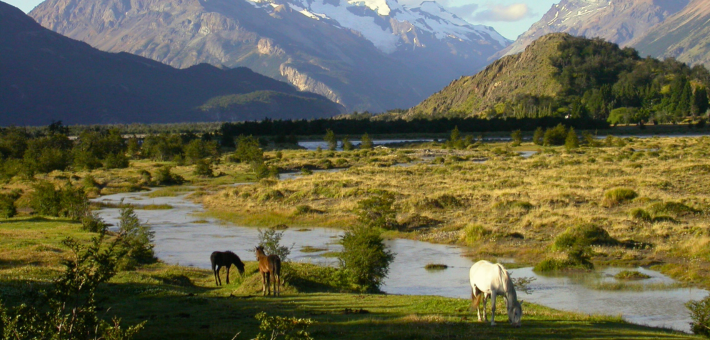 Séjour immersion et découverte du Chili : Nature, Connexion et Chevaux - Caval&go