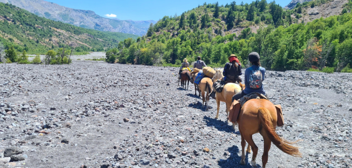 Séjour immersion et découverte du Chili : Nature, Connexion et Chevaux - Caval&go